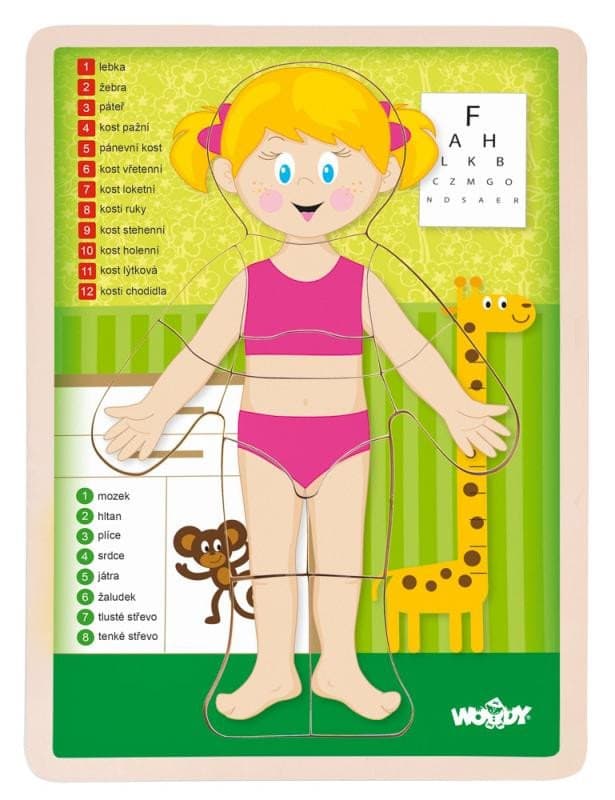 WOODY Oboustranné puzzle Lidské tělo - Dívka
